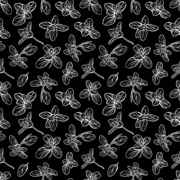 Basil Seamless Pattern. Italské bylinky. Sprig majoránky. Basil je voňavé a voňavé koření. Ručně kreslená ilustrace — Stockový vektor