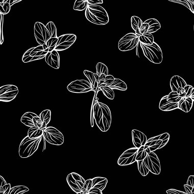  Fesleğensiz desen. İtalyan otları. Marjoram deseni. El çizimi illüstrasyon