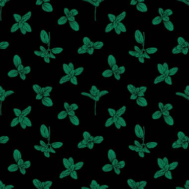  Fesleğensiz desen. İtalyan otları. Marjoram deseni. El çizimi illüstrasyon