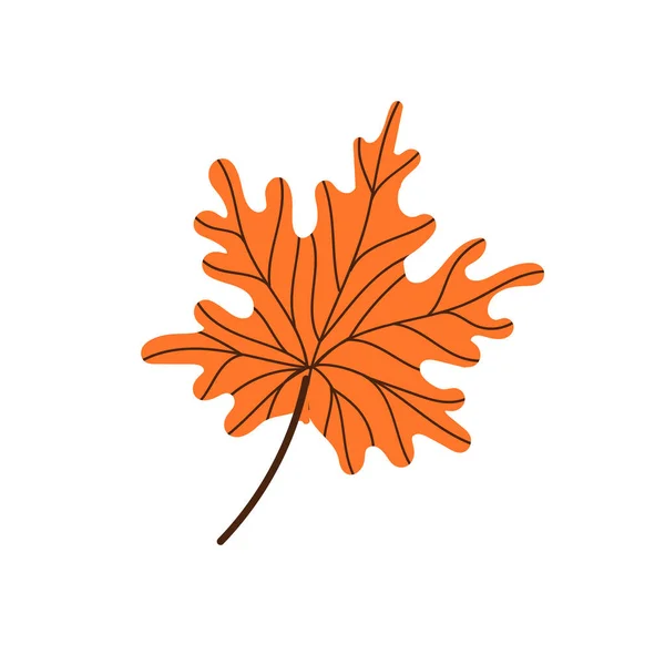 A fallen maple leaf.Autumn foliage. Vector illustration. — Stock Vector