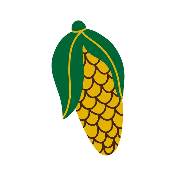 Corn. Ripe vegetable corn.Simple vector illustration — Stock Vector