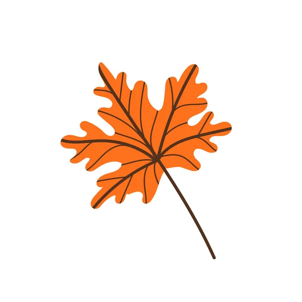 A fallen maple leaf.Autumn foliage. — Stock Vector
