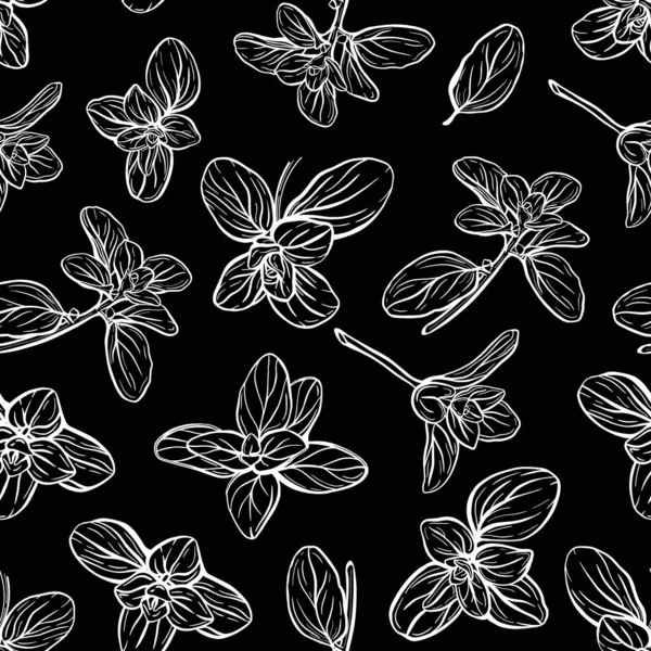 Basil Seamless Pattern. Italské bylinky. Sprig majoránky. Basil je voňavé a voňavé koření. Ručně kreslená ilustrace — Stockový vektor