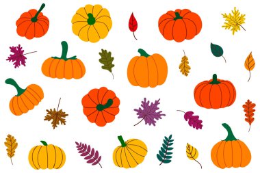 Sonbahar yaprakları ve balkabakları Şükran Günü Seti, Hasat, Cadılar Bayramı. Vektör İllüzyonu