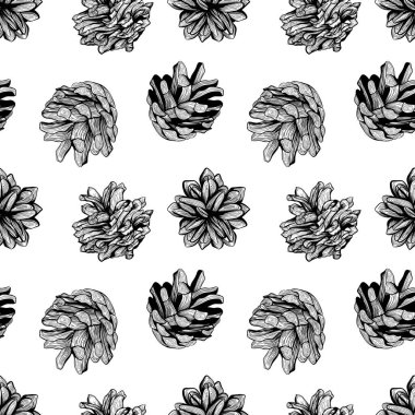 Çam kozalakları kusursuz desen tasarımı