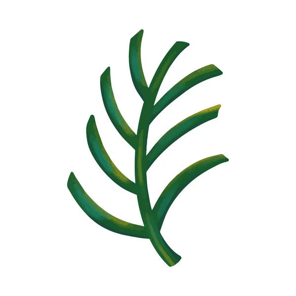 Folha de palmeira verde. Folha tropical sobre um fundo branco. Ilustração vetorial —  Vetores de Stock