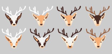 Bir grup geyik kafası. Ren geyiği çizimi