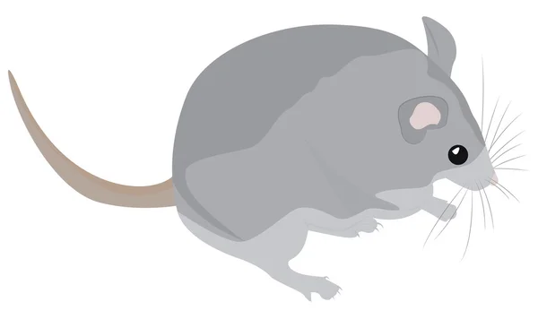 Karikatur graue Maus — Stockvektor