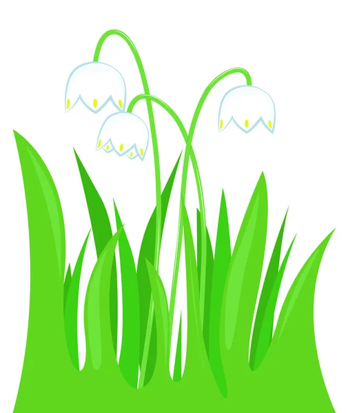 Проліски в траві — стоковий вектор