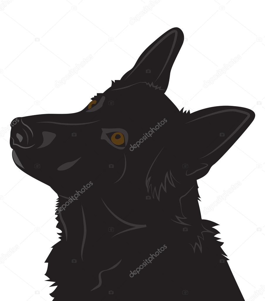 Schäferhund-Kopf Stock-Vektorbild von ©elfijka 110808242, image size:903x1024