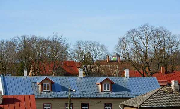 Крыши и деревья — стоковое фото