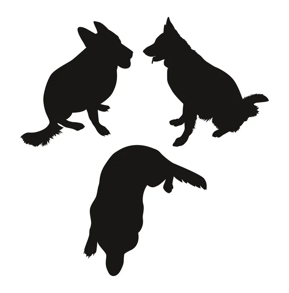 Silhouetten von Hunden — Stockvektor