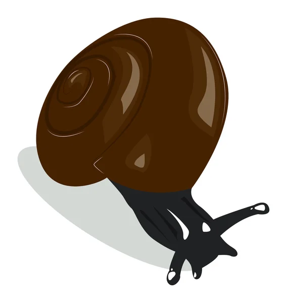 Snail with brown shell — Stock Vector
