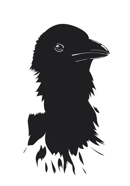 Black Silhouette Crow Head Vector Illustration — Stock Vector