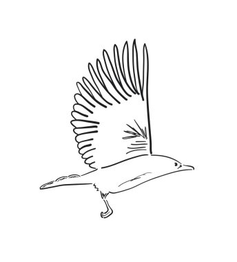Basit vektör illüstrasyon simgesi, uçan kuş