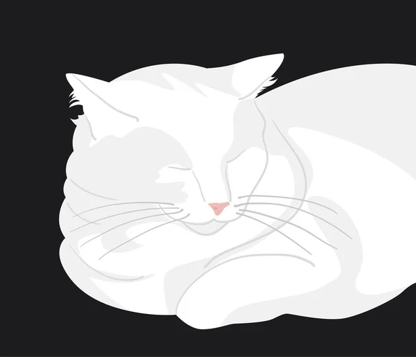 Retrato Gato Blanco Gordo Dormido Ilustración Vectorial — Archivo Imágenes Vectoriales