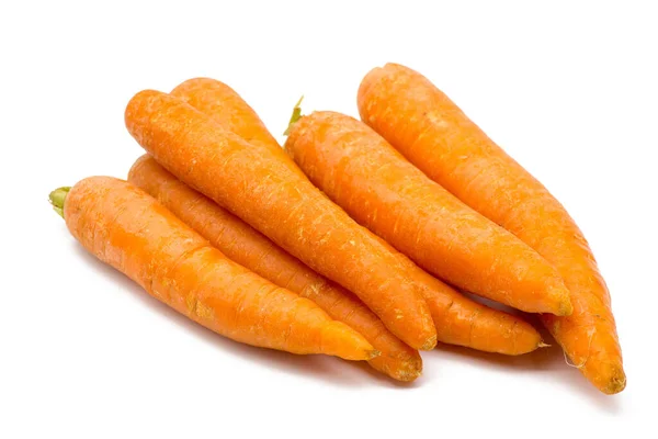 Young Carrot Leaves White Background — Stock Photo, Image