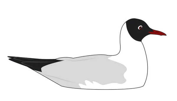 Gaviota Cabeza Negra Dibujos Animados Vector Ilustración — Vector de stock