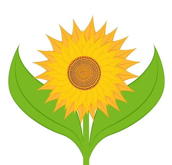 Girasole — Vettoriale Stock