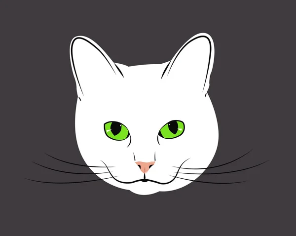 白猫 — 图库矢量图片