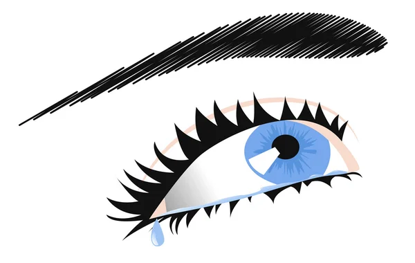 Female eye — Stock Vector