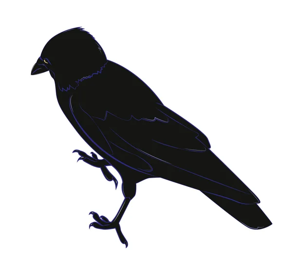 Cuervo negro — Vector de stock