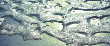 Bahar buz köpüklü