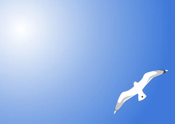 Seagull in blue sky — Stock Vector