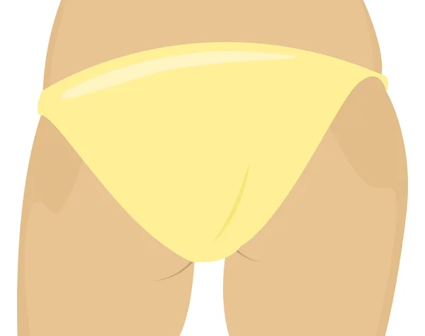 Fesses féminines en bikini — Image vectorielle