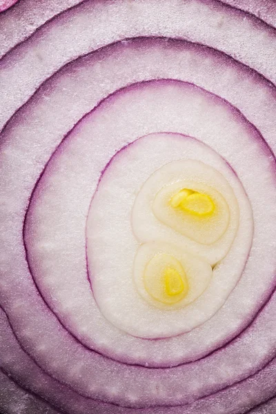 Red onion (background) — Stock Photo, Image