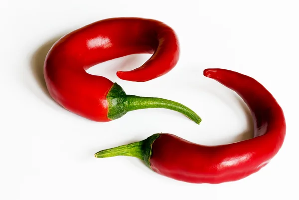 Chili pepper (also chile pepper or chilli pepper) — Stock Photo, Image