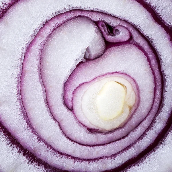 Red onion (background) — Stock Photo, Image