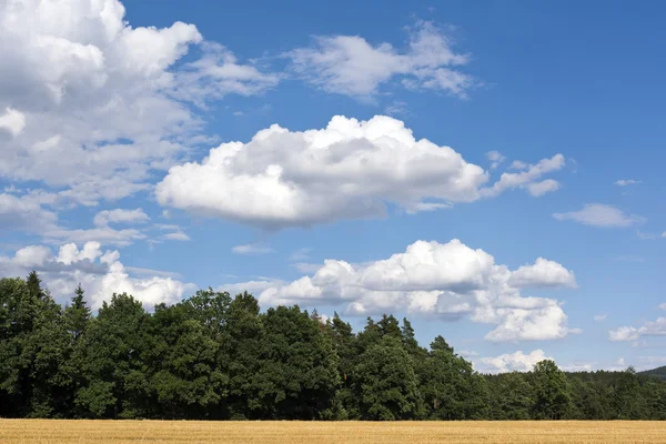 Paisagem de verão com nuvens brancas no céu azul — Fotografia de Stock