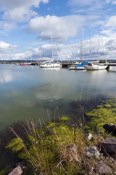 Sommar landskap med båtar — Stockfoto