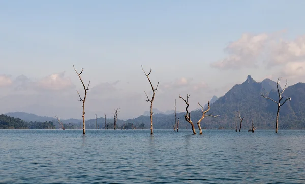 Cheow lan jezero nebo rajjaprabha přehrady, Thajsko — Stock fotografie
