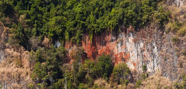 Bäume und Kalksteinfelsen, Thailand — Stockfoto