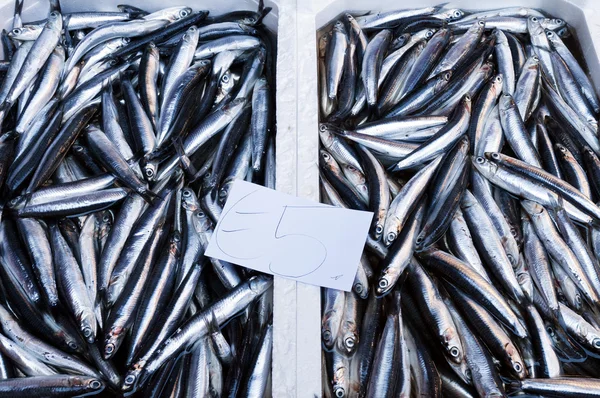 Mercado de pescado — Foto de Stock