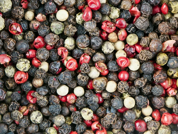 Red, black, green and white peppercorns — Stock Photo, Image