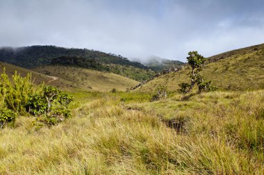 Horton Plains Milli Parkı. Sri Lanka