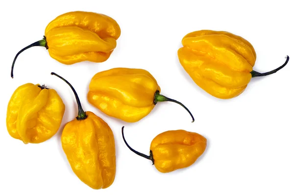 Yellow habanero peppers — Stock Photo, Image