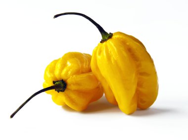 Yellow habanero peppers clipart