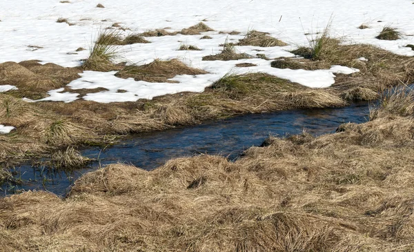 Wasser, Gras und Schnee — Stockfoto