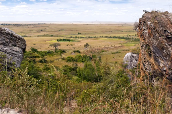 Savana e prados, Madagáscar — Fotografia de Stock
