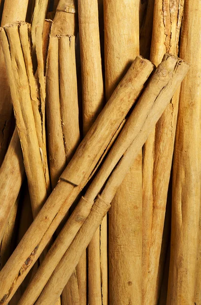 Cinnamon sticks — Stock Photo, Image