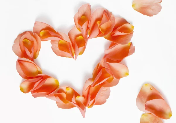 Rose petals (heart shape) — Stock Photo, Image