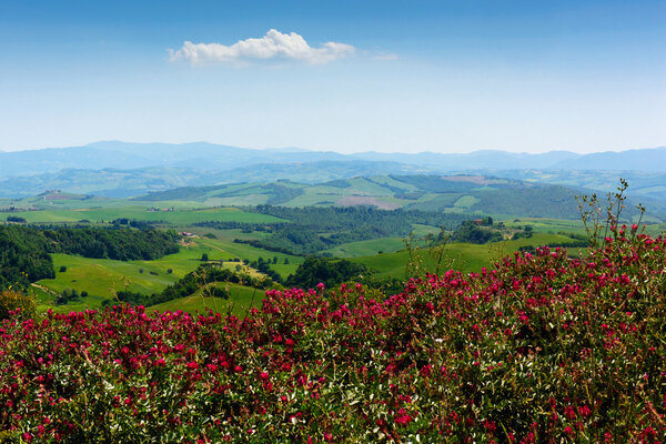 Тосканский пейзаж
 