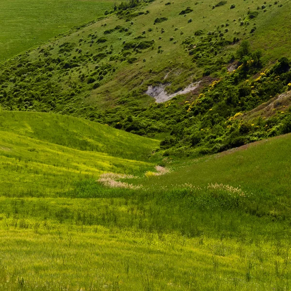 Valle verde — Foto Stock