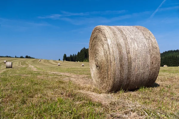 Balen hooi — Stockfoto