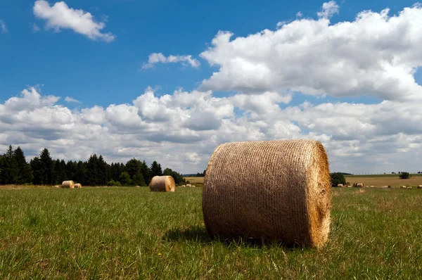 Heuballen — Stockfoto