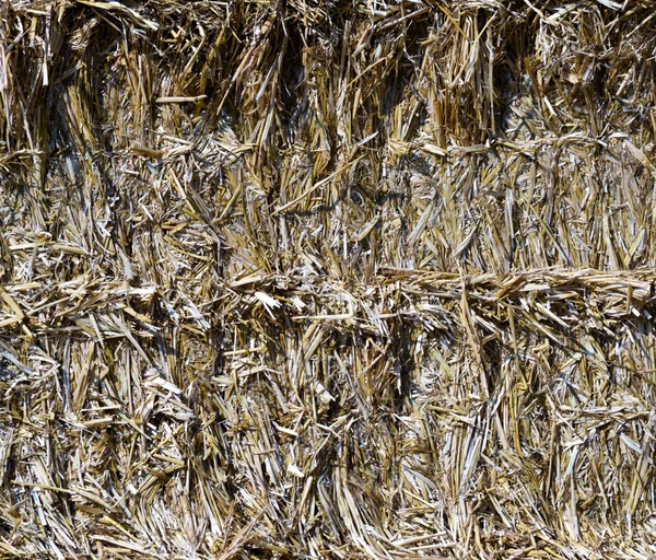 Bale of straw (background) — Stock Photo, Image